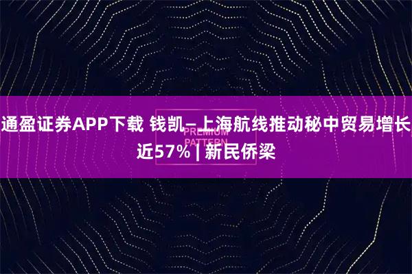 通盈证券APP下载 钱凯—上海航线推动秘中贸易增长近57% | 新民侨梁
