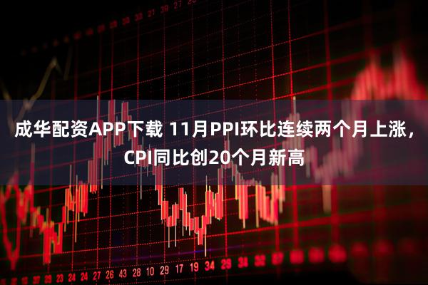 成华配资APP下载 11月PPI环比连续两个月上涨，CPI同比创20个月新高